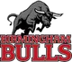 birmingham-bulls-b