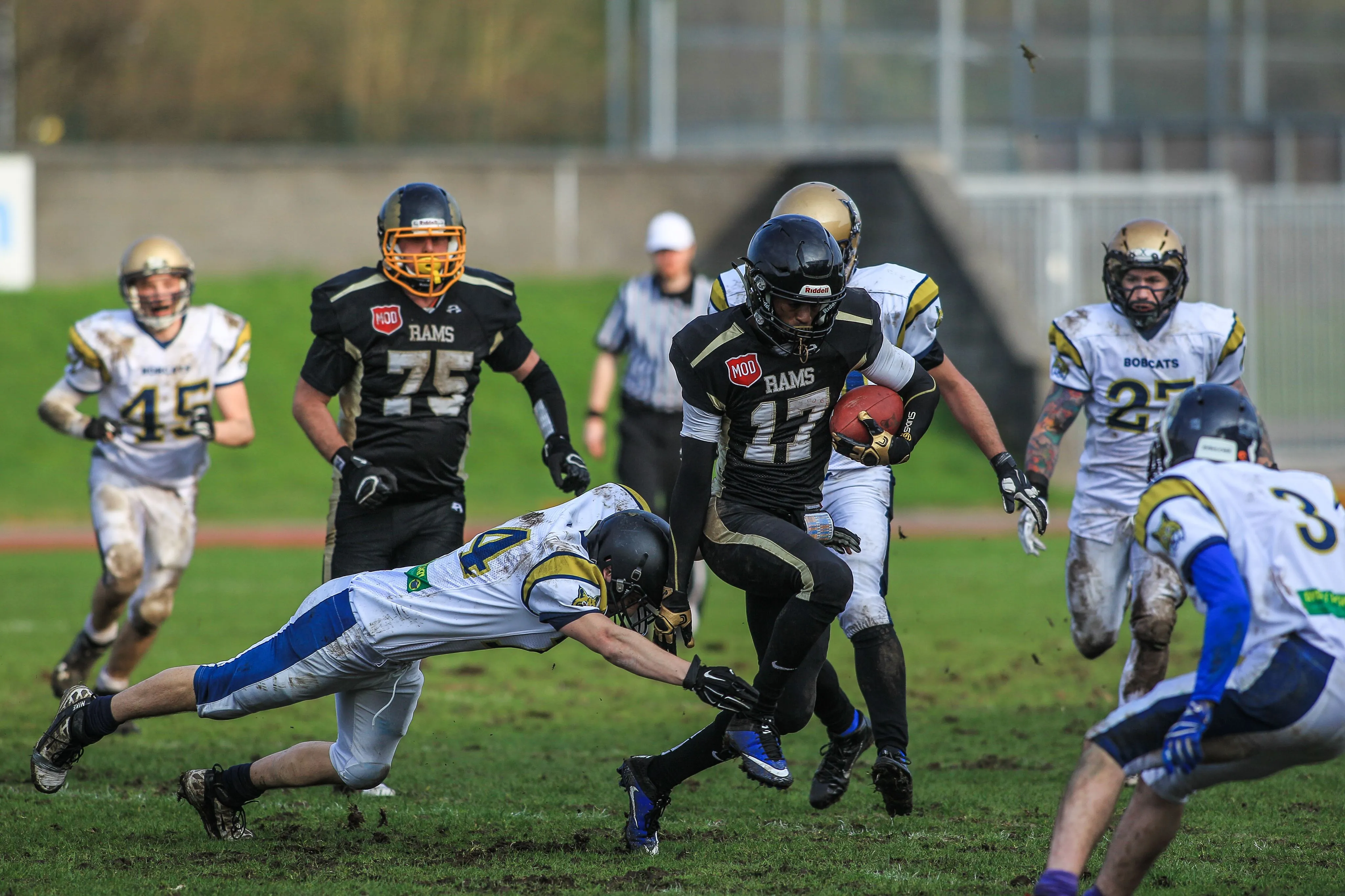 Yorkshire Rams 31 Leeds Bobcats 0