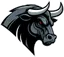 Birmingham Bulls