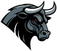 Birmingham Bulls