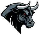 birmingham-bulls