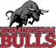 Birmingham Bulls B